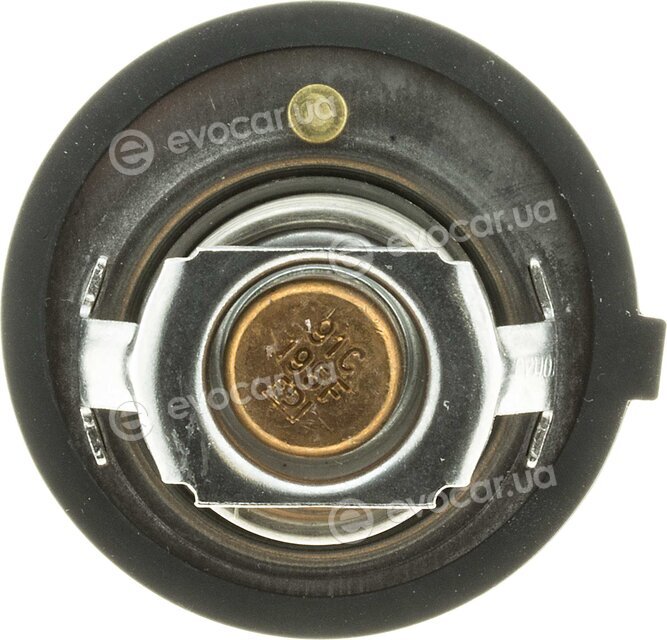 Motorad 425-91K