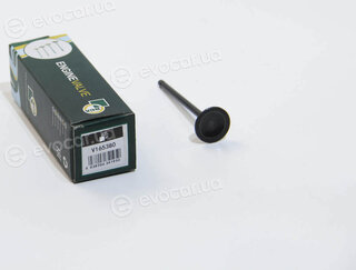 BGA V165380
