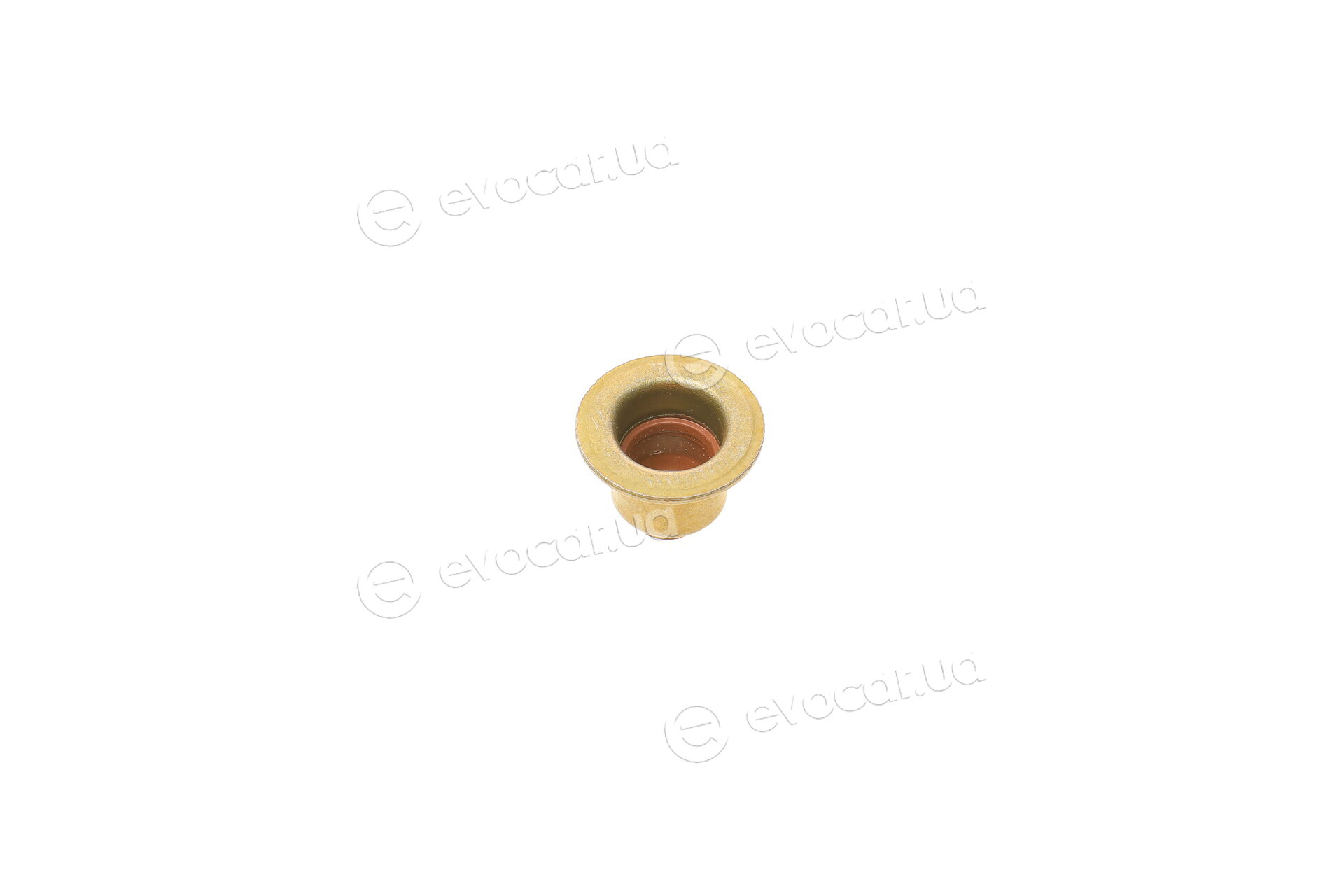 Elring 530.070