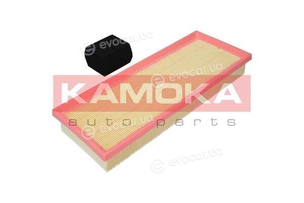 Kamoka F239701