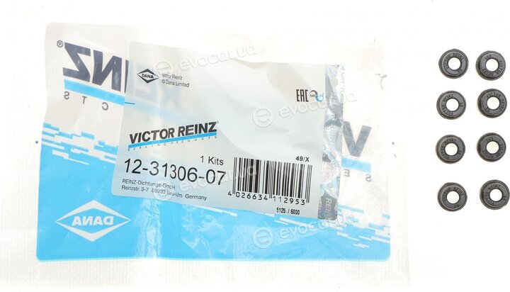 Victor Reinz 12-31306-07