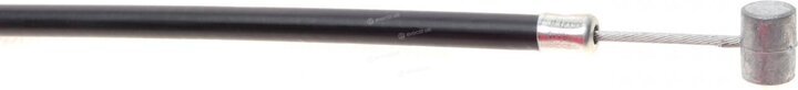 Solgy 305041