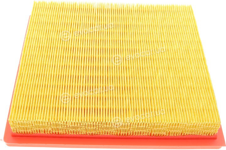 Mann C 24 100