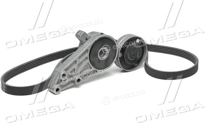 Continental 5PK1300K1
