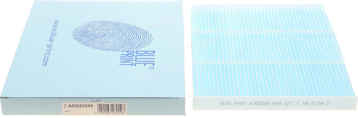 Blue Print ADG02595