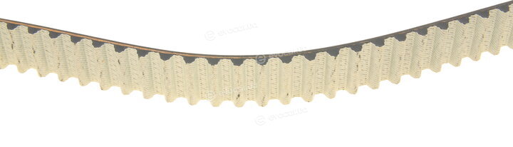 Dayco KTBWP5171