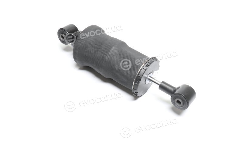 Sachs 313 077