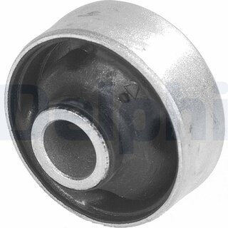 Delphi TD244W