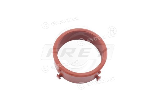 Frey 700532001