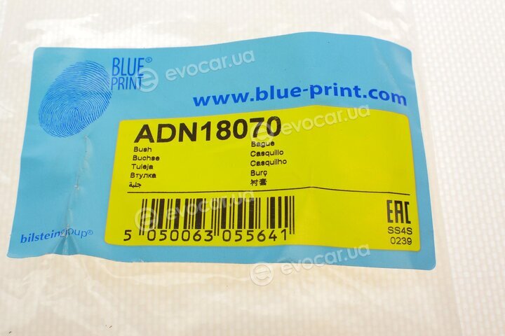 Blue Print ADN18070