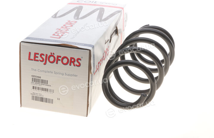 Lesjofors 4255466
