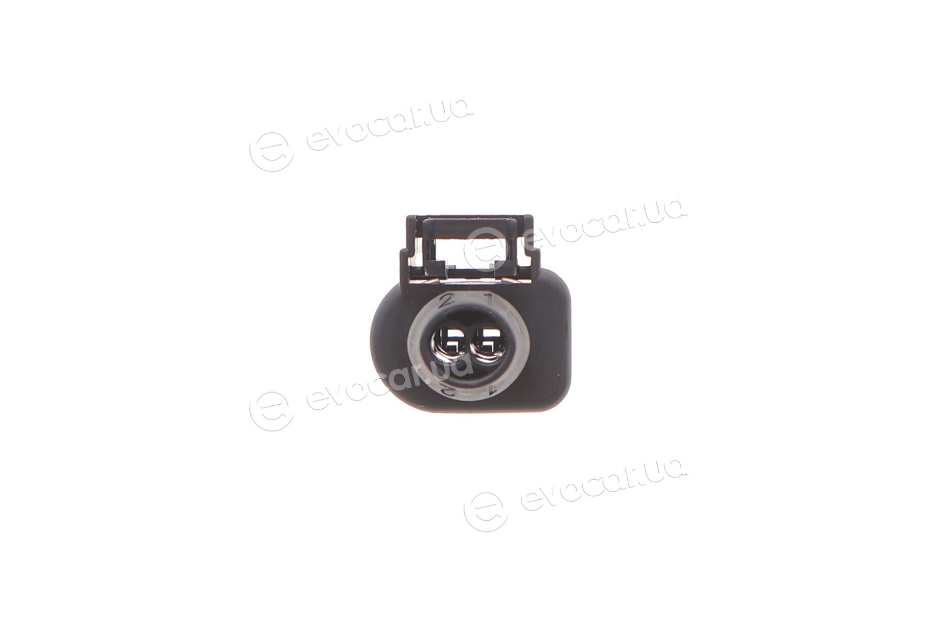 Solgy 412044