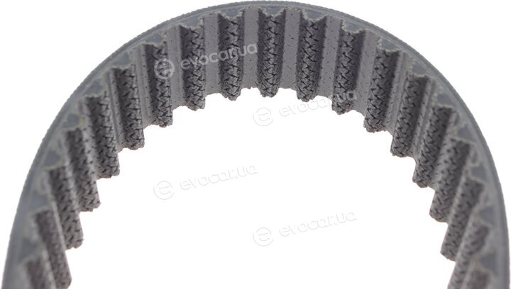 Continental CT1168WP9