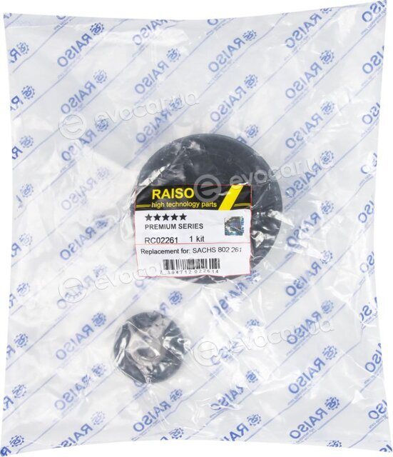 Raiso RC02261