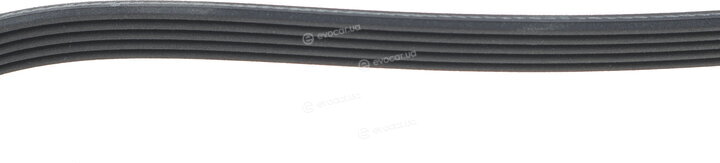Dayco 5PK1084