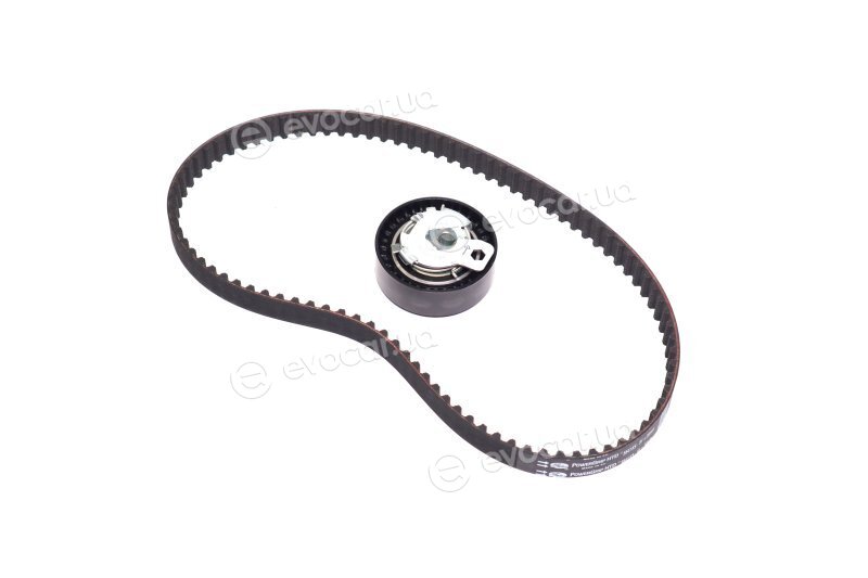 Gates K015541XS