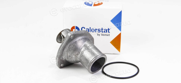 Vernet / Calorstat TH5979.82J
