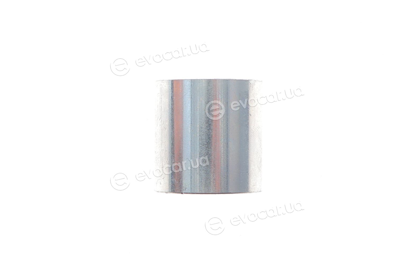 Gates K055678XS