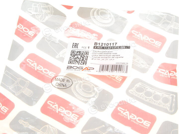 Bogap B1210117