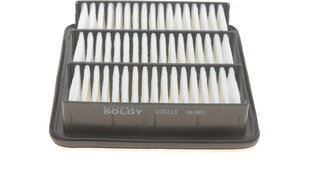 Solgy 103113