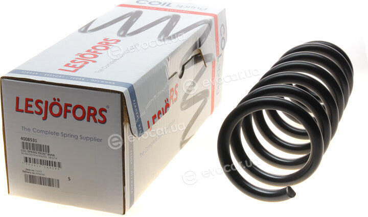 Lesjofors 4008531