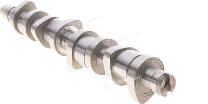 Borsehung B11307
