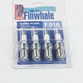 Finwhale F 516