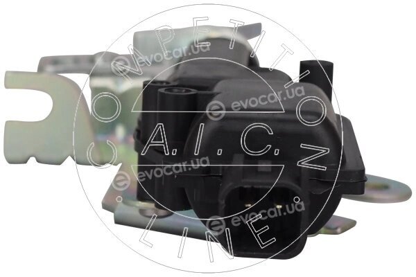 AIC 58197