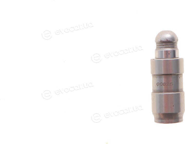 Motive HL6007