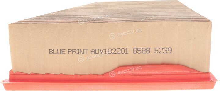 Blue Print ADV182201