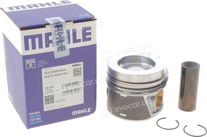 Mahle 028 PI 00100 001
