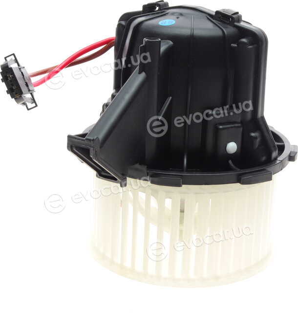 AIC 56115