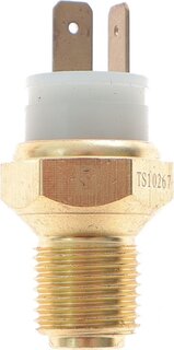 Delphi TS10267