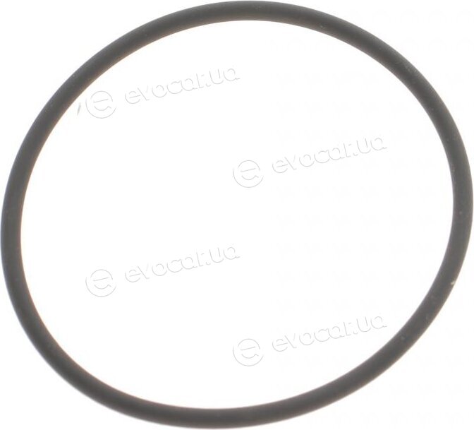 BMW / Mini 11 66 7 509 080