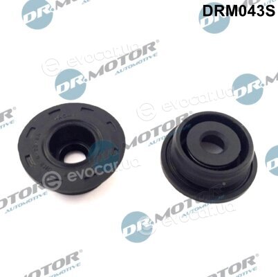 Dr. Motor DRM043S