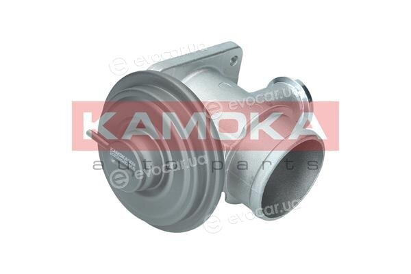 Kamoka 19064