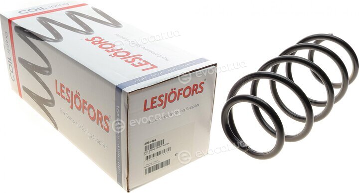 Lesjofors 4055464