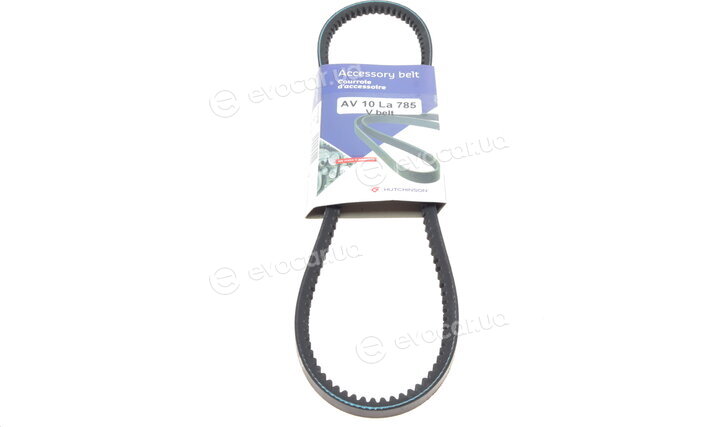 Hutchinson AV 10 La 785
