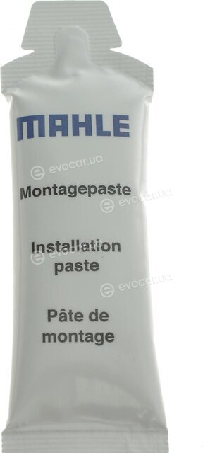 Mahle 061 LW 00120 001