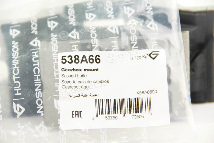 Hutchinson 538A66