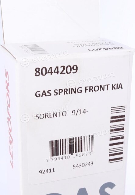 Lesjofors 8044209