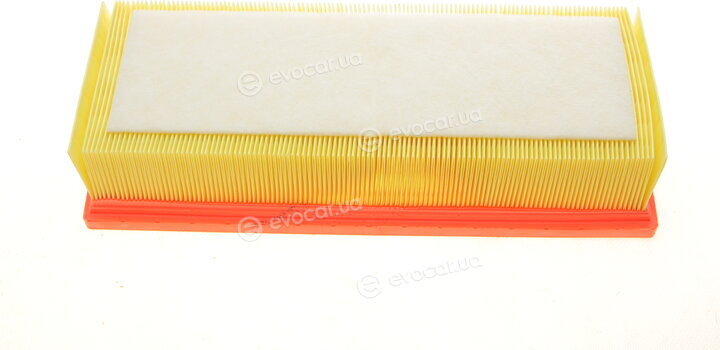 Borsehung B18014