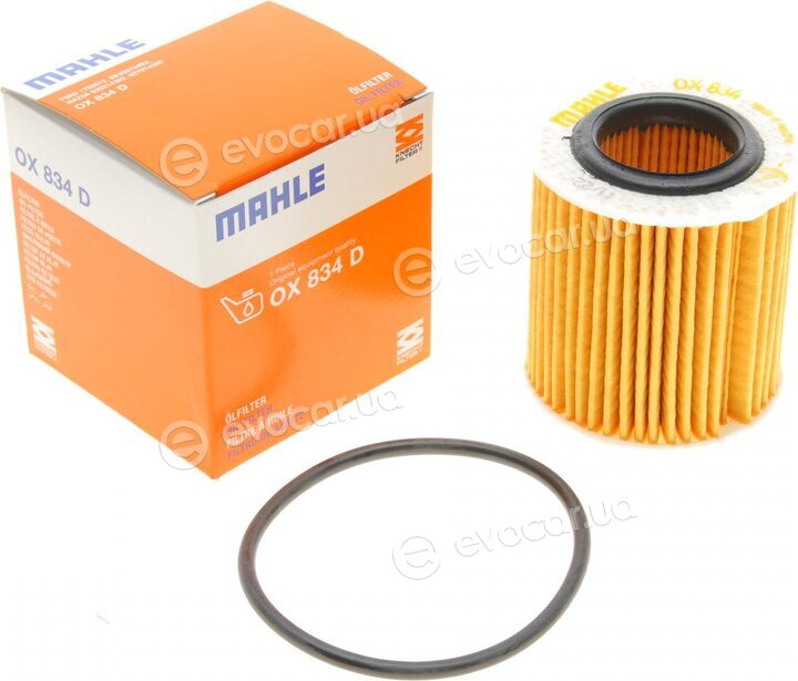 Mahle OX 834D