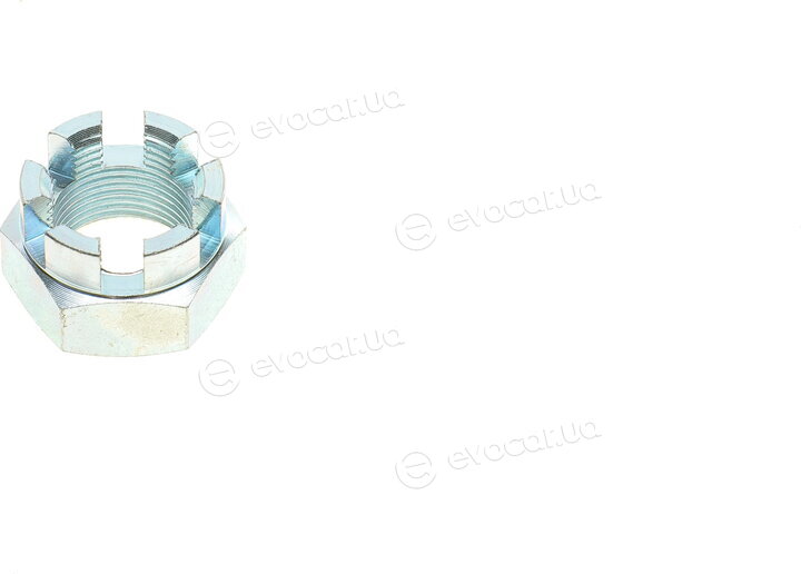 Metelli 13-0644