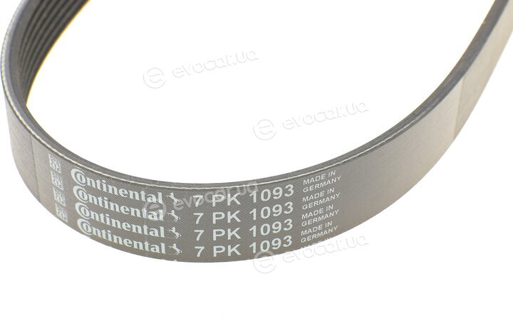 Continental 7PK1093