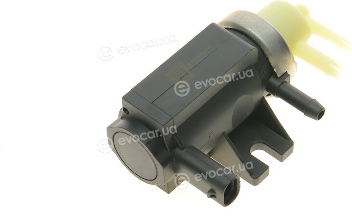Solgy 402013