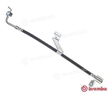 Brembo T 24 034