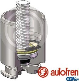 Autofren D025422LK