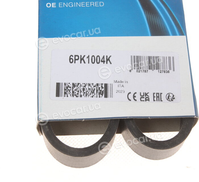 Dayco 6PK1004K