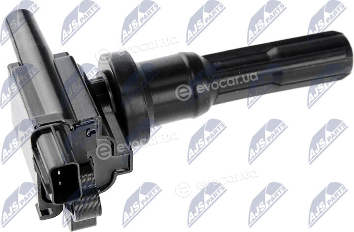 NTY ECZ-MS-012